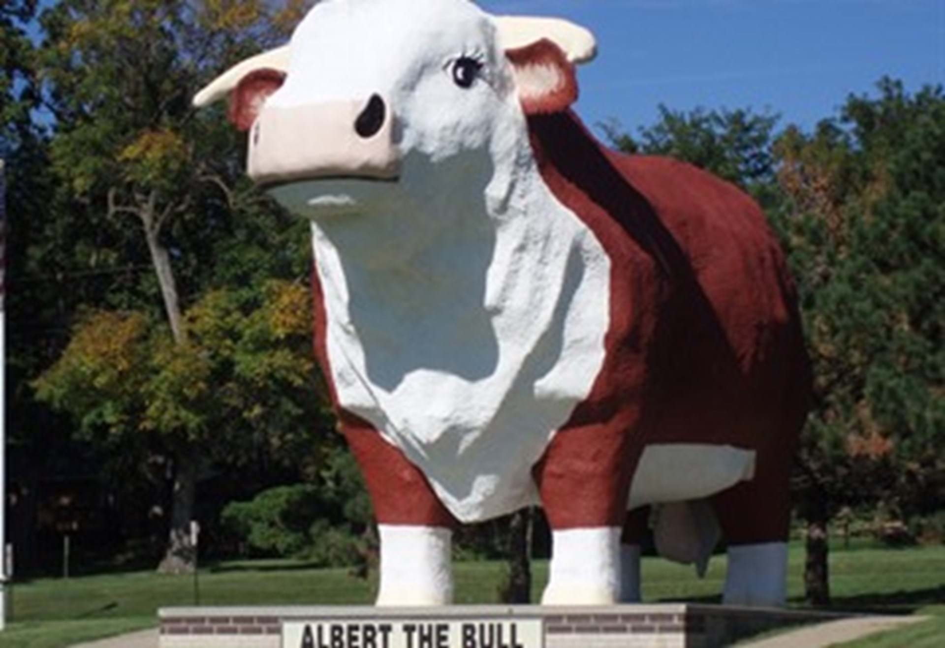 Albert the Bull Campground