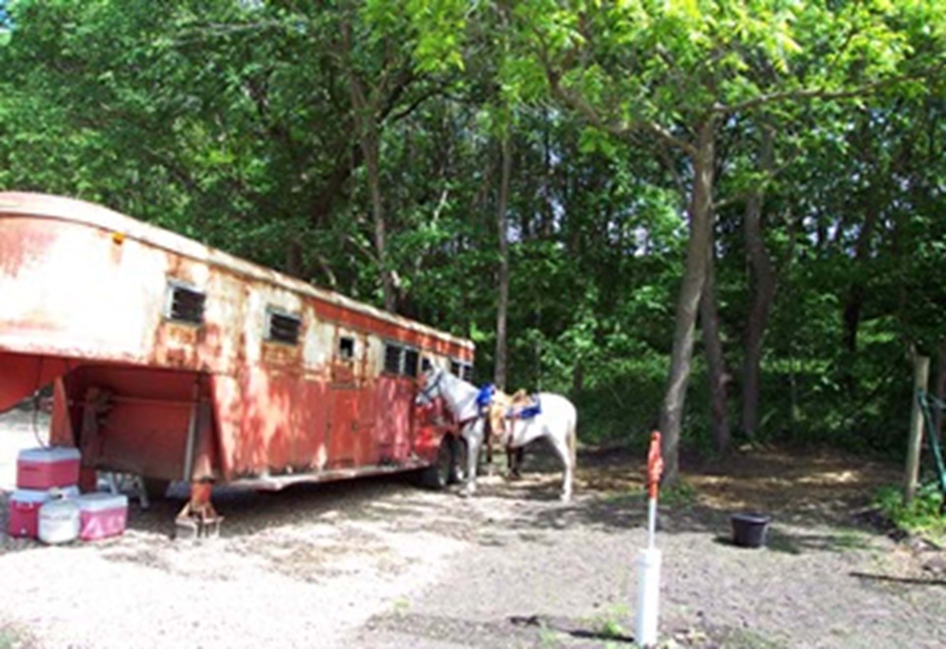 Equestrian Camping