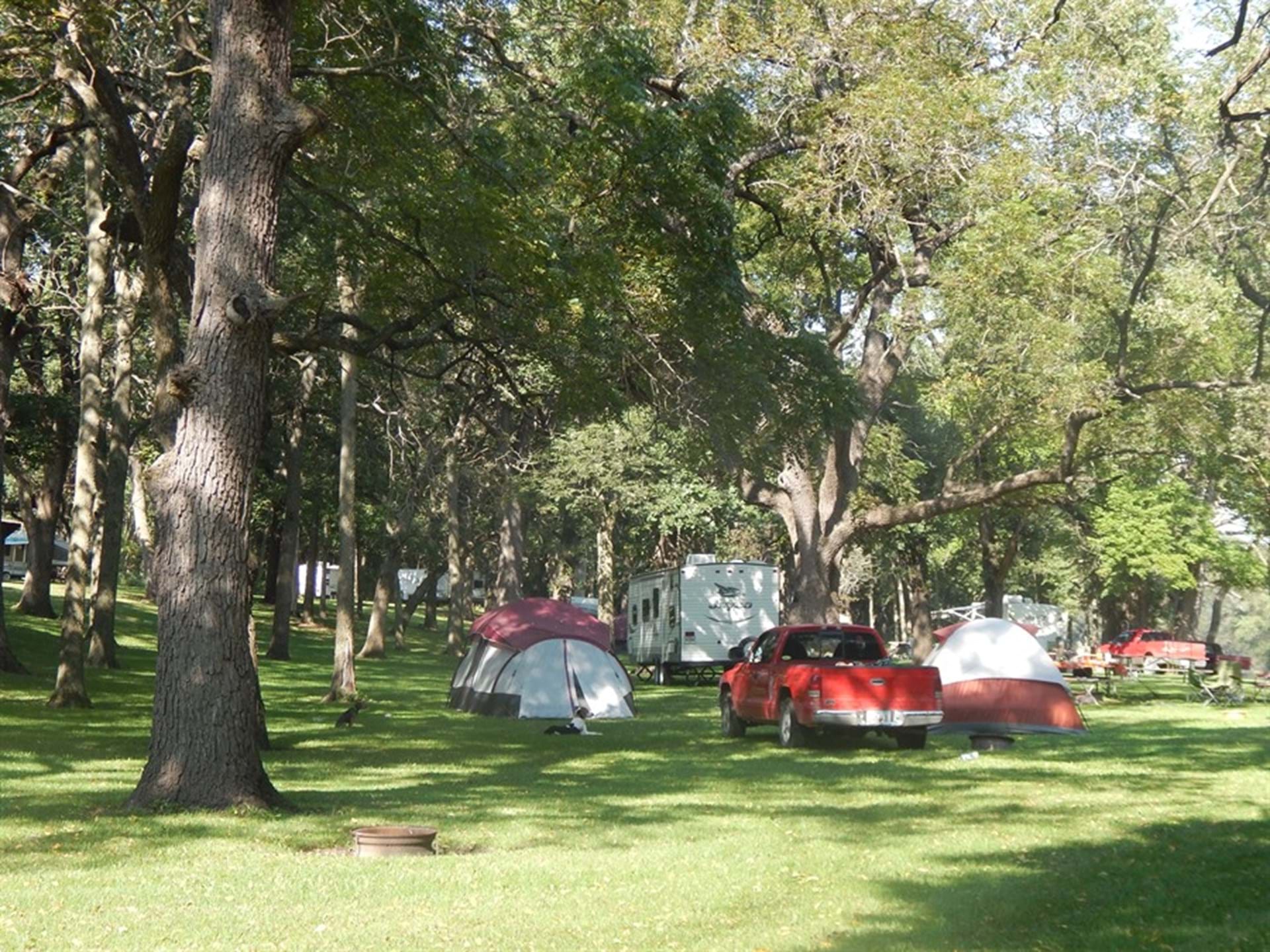 Camping