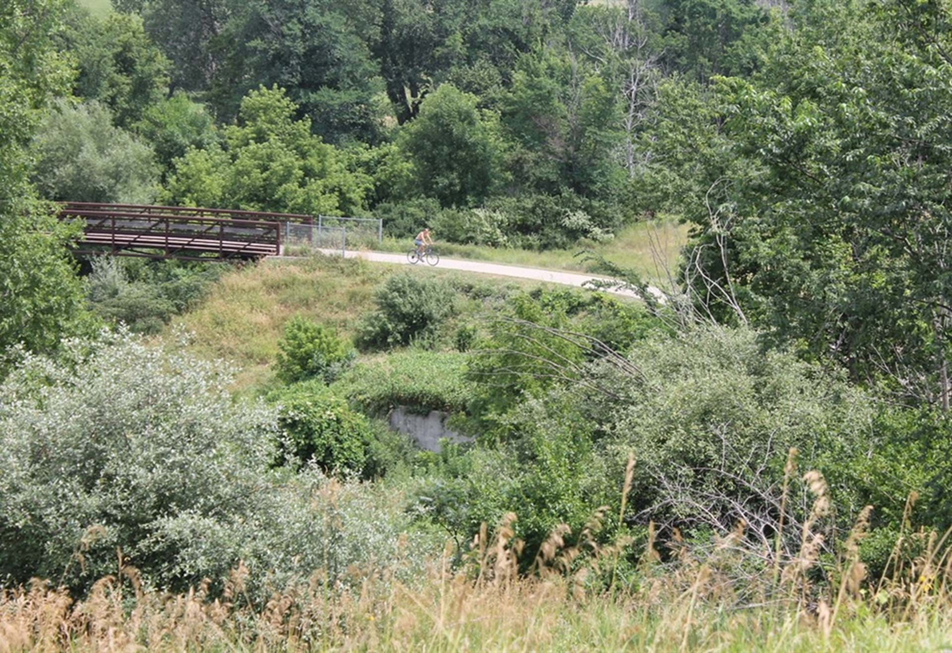 Bike/walking trail at Briggs Woods Park