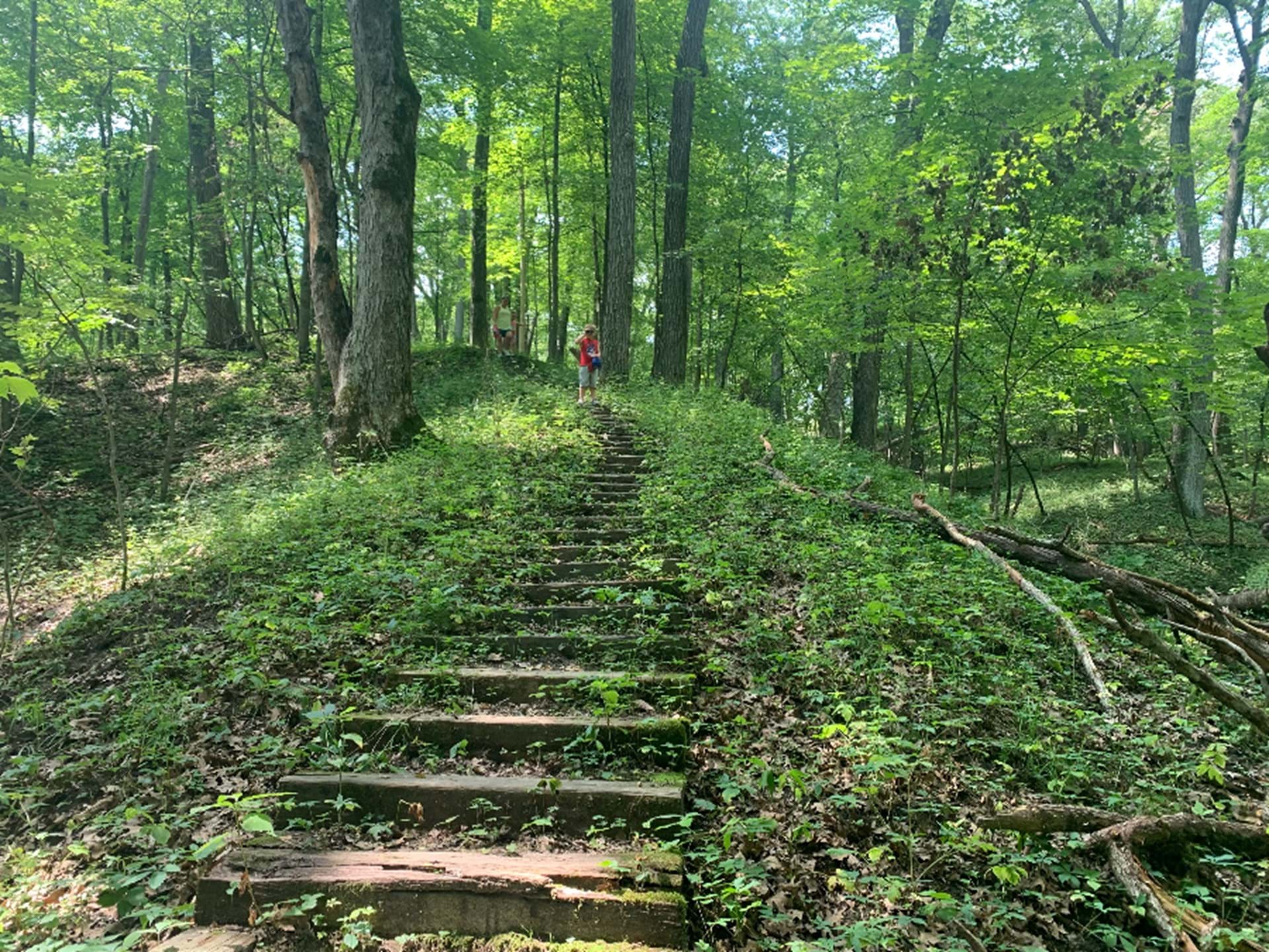 Trails are plentiful within Pinicon Ridge Park