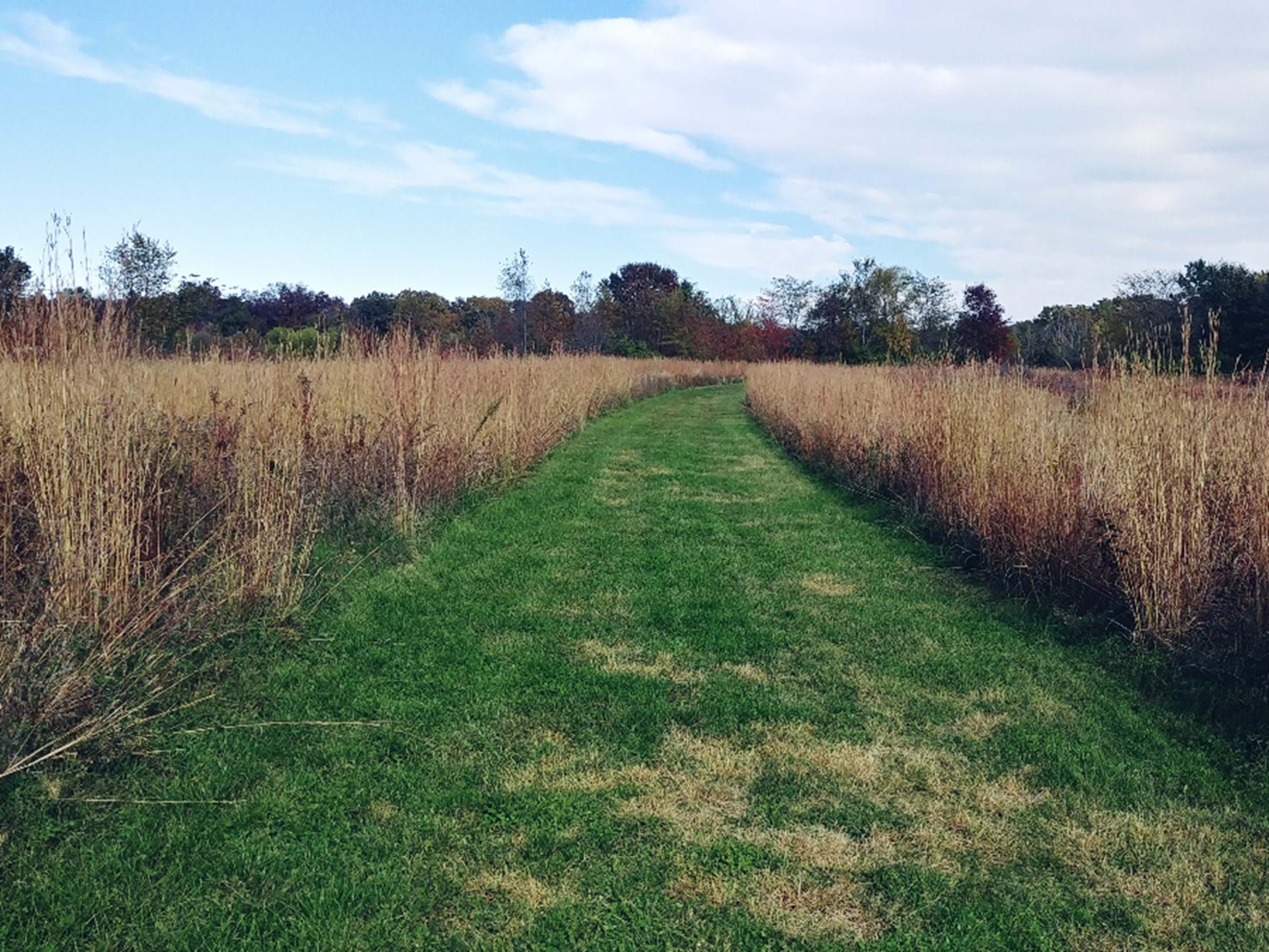 Big Hollow Recreation Area Sperry, Iowa Travel Iowa