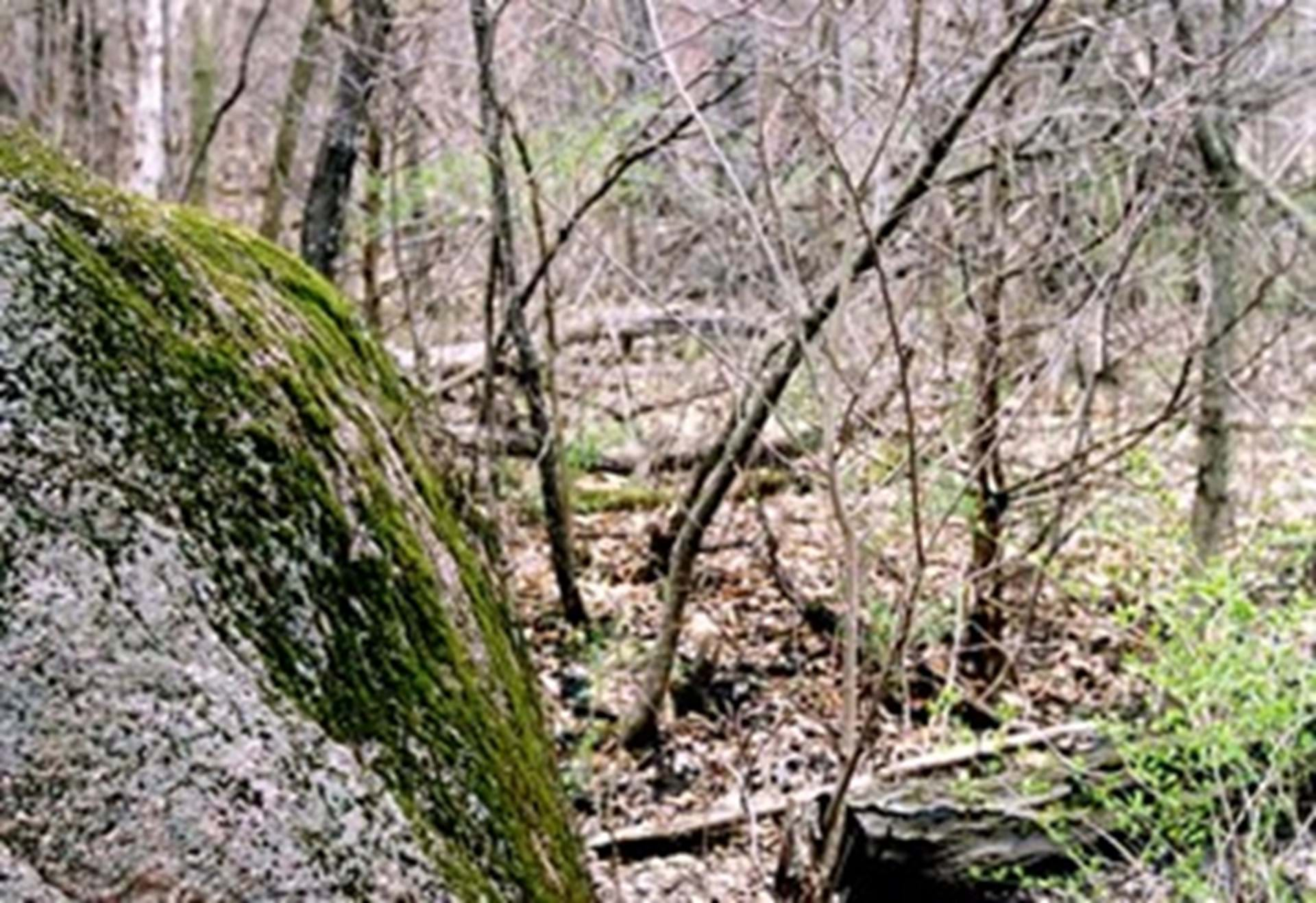 Glacier boulder