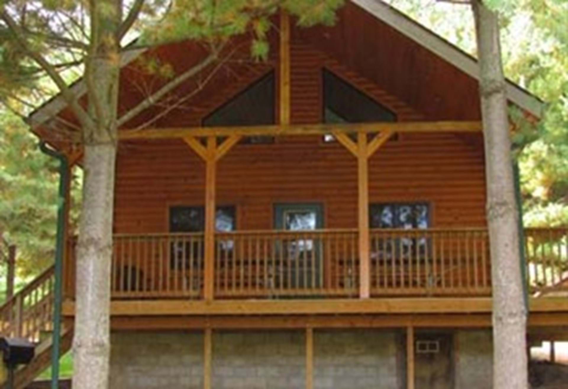 Scotch Pine Cabin
