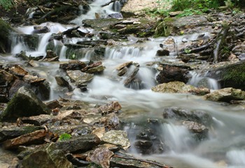 https://www.traveliowa.com/userdocs/places/9620_TylerBuck018.jpg