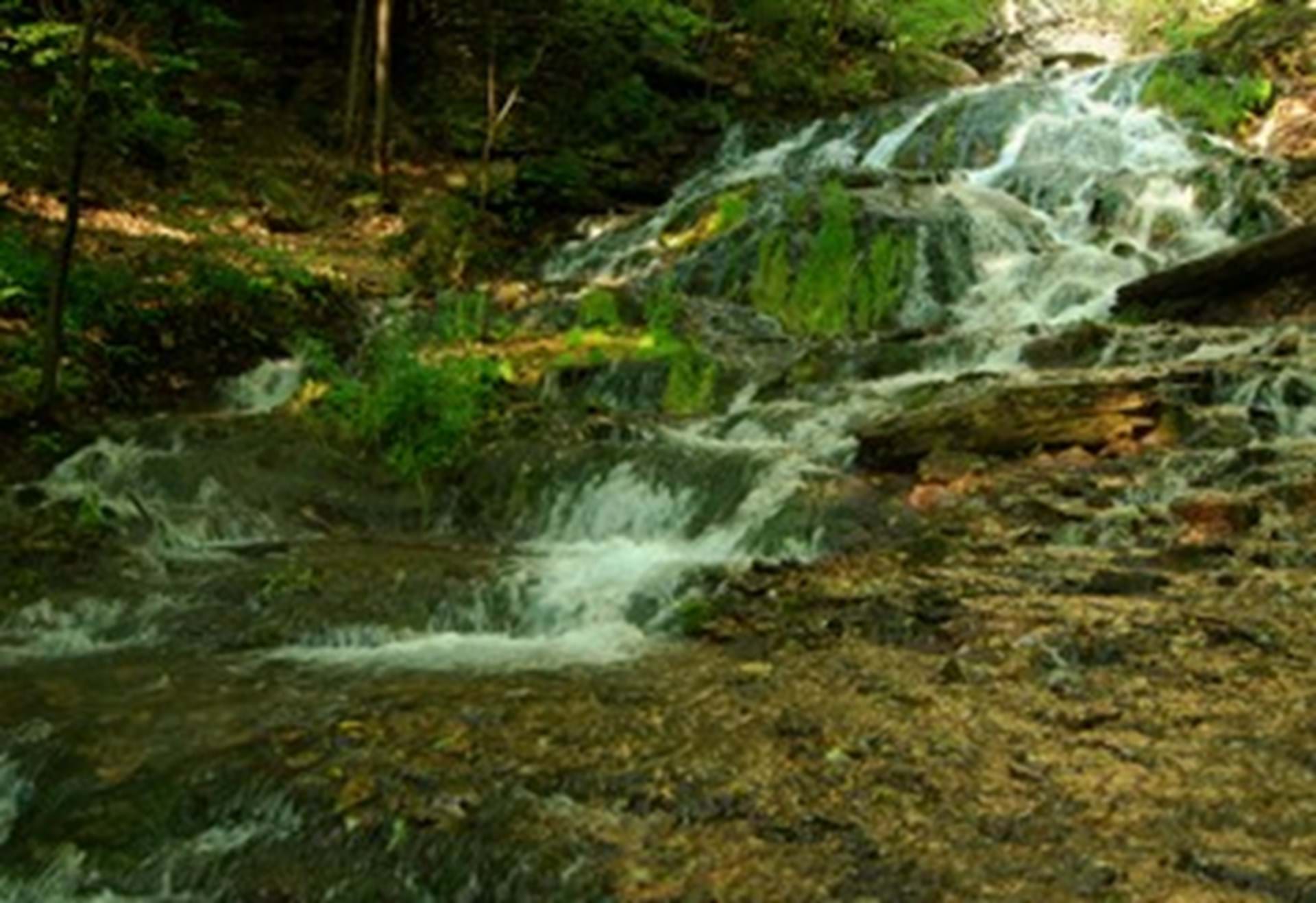 The Beautiful Falls