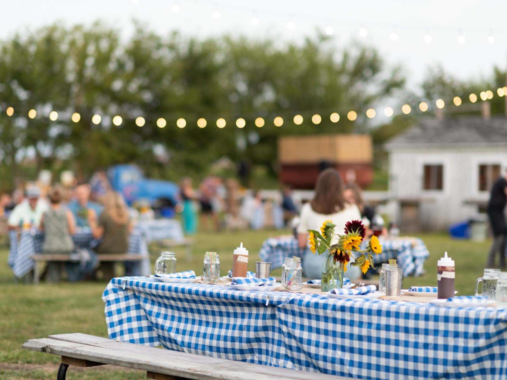 Feast in the Flowers farm dinner