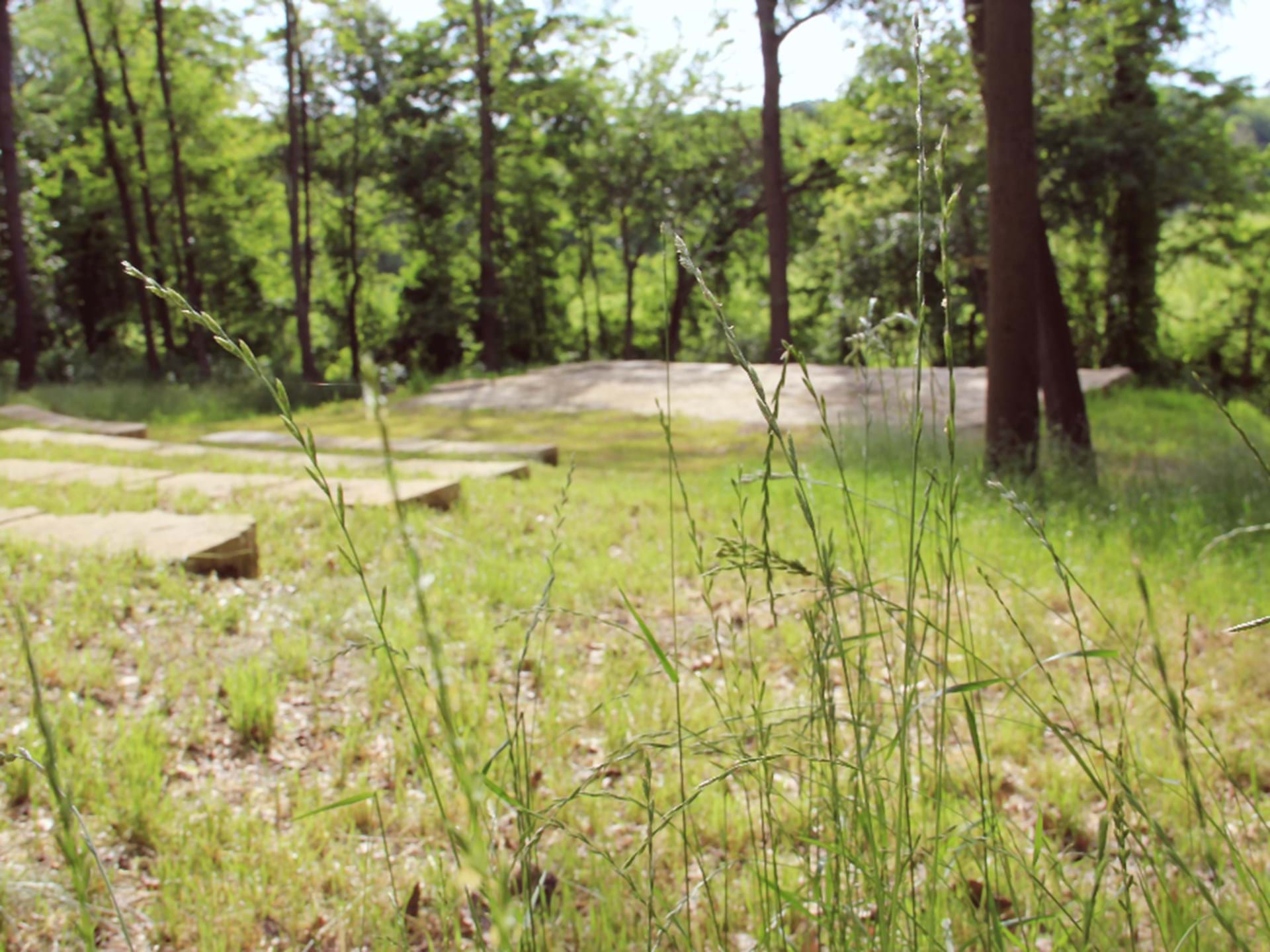 Amphitheater 