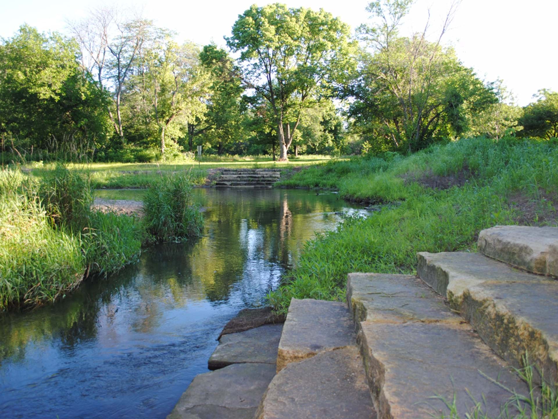Steps Leading into Camp Creek at Thomas Mitchell Park