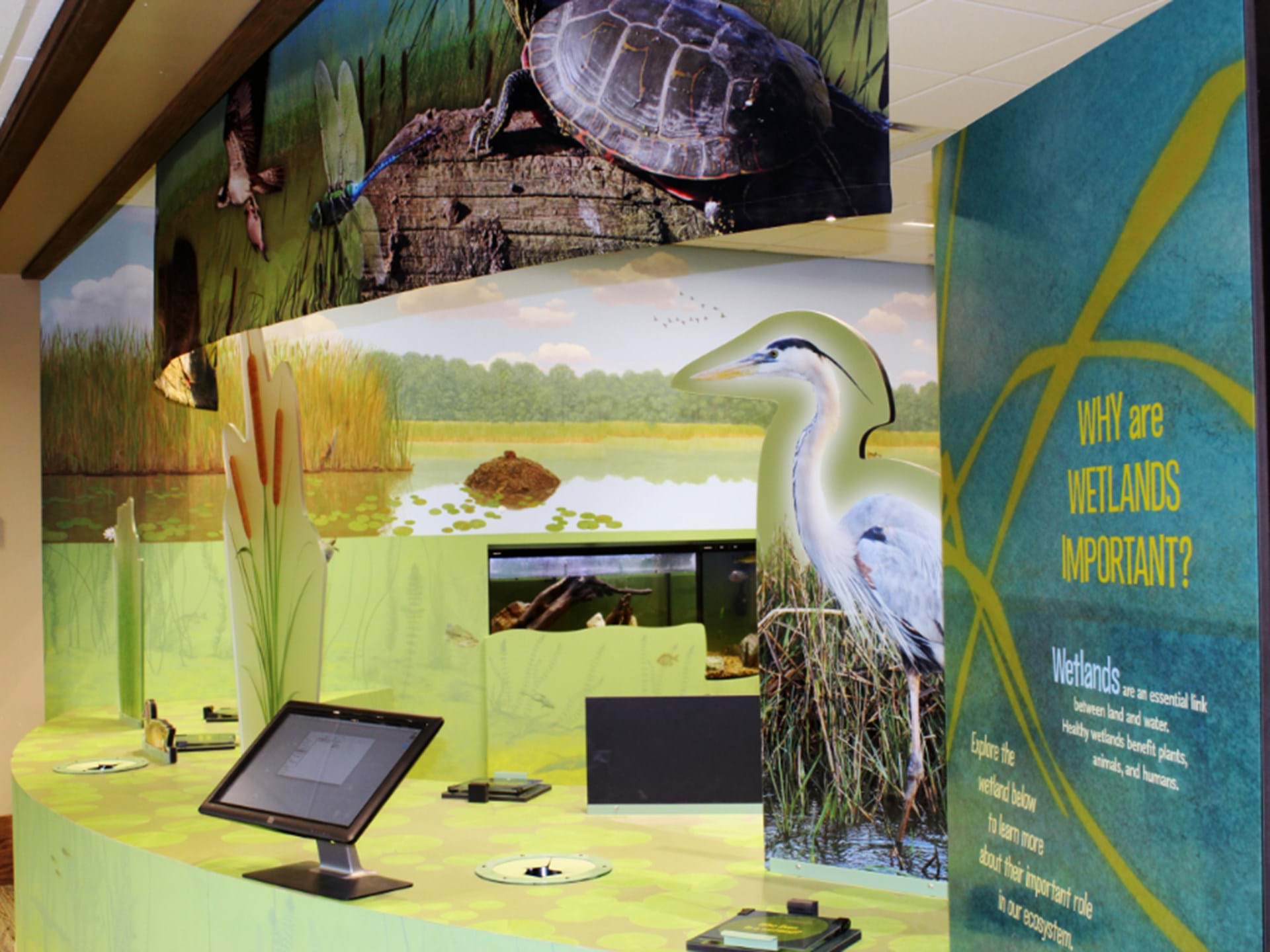 Wetland Educational Exhibit