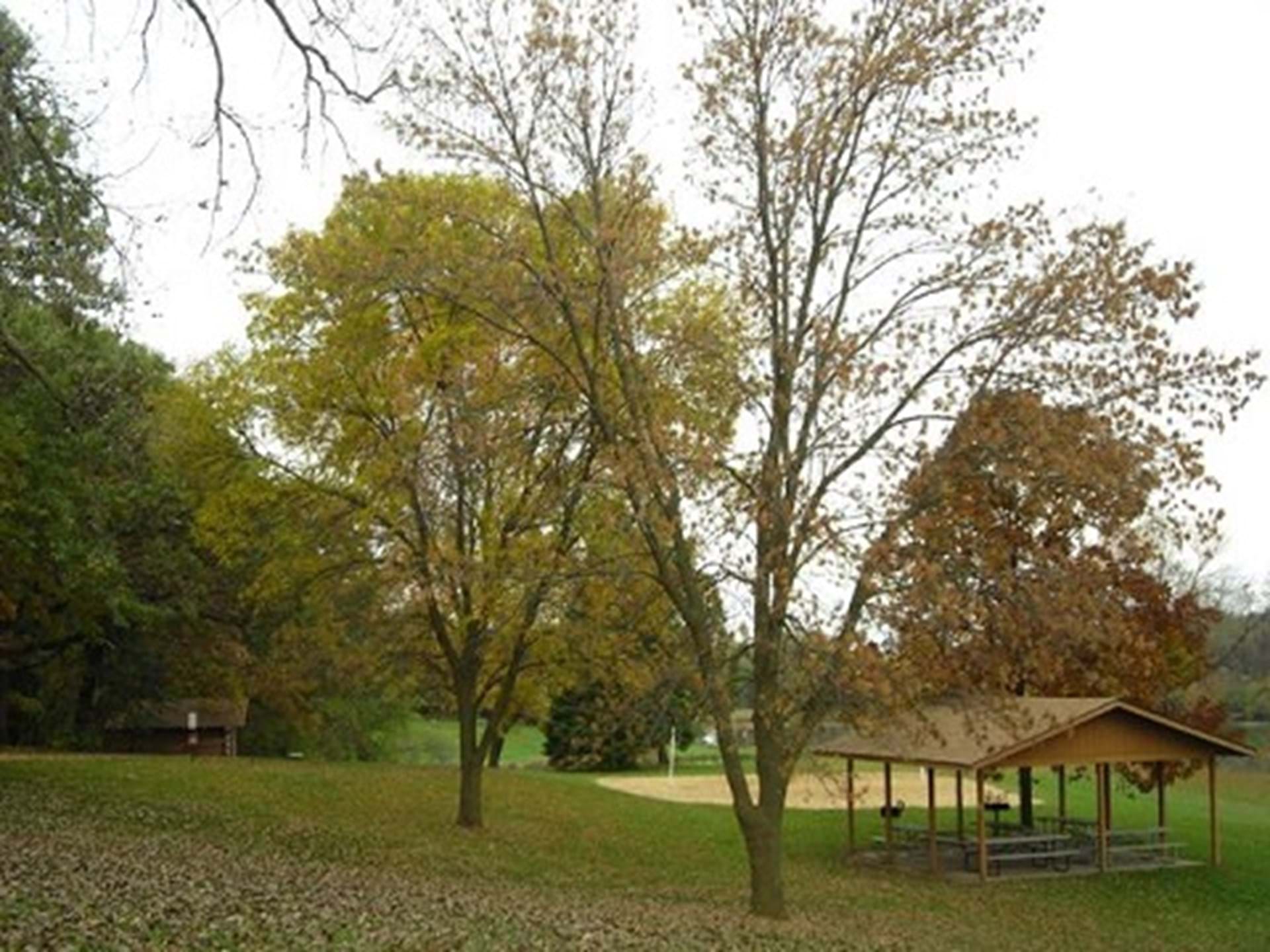 Central Park Open Air Shelter