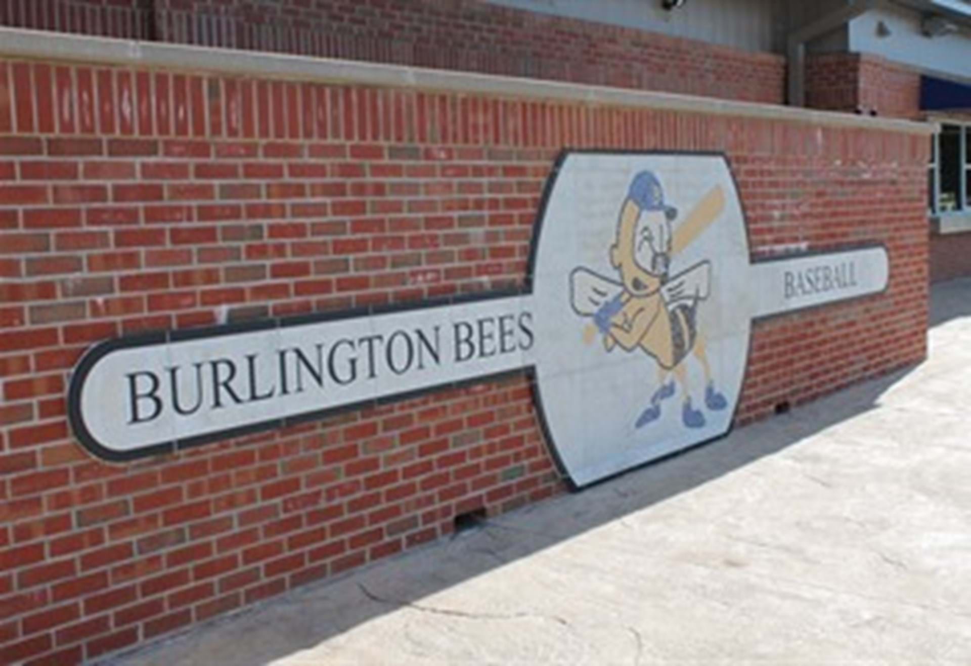 Burlington Bees Baseball