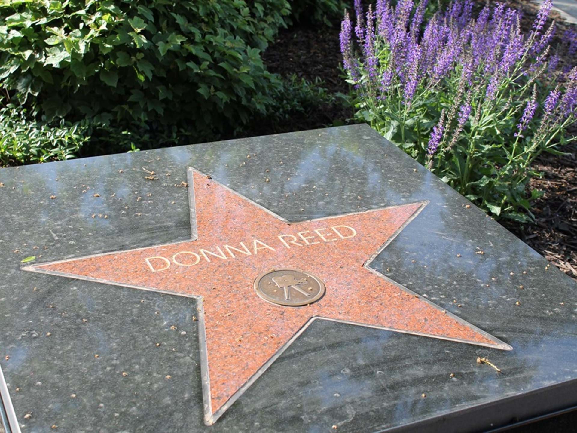 Donna Reed Center and Heritage Museum Denison, Iowa Travel Iowa