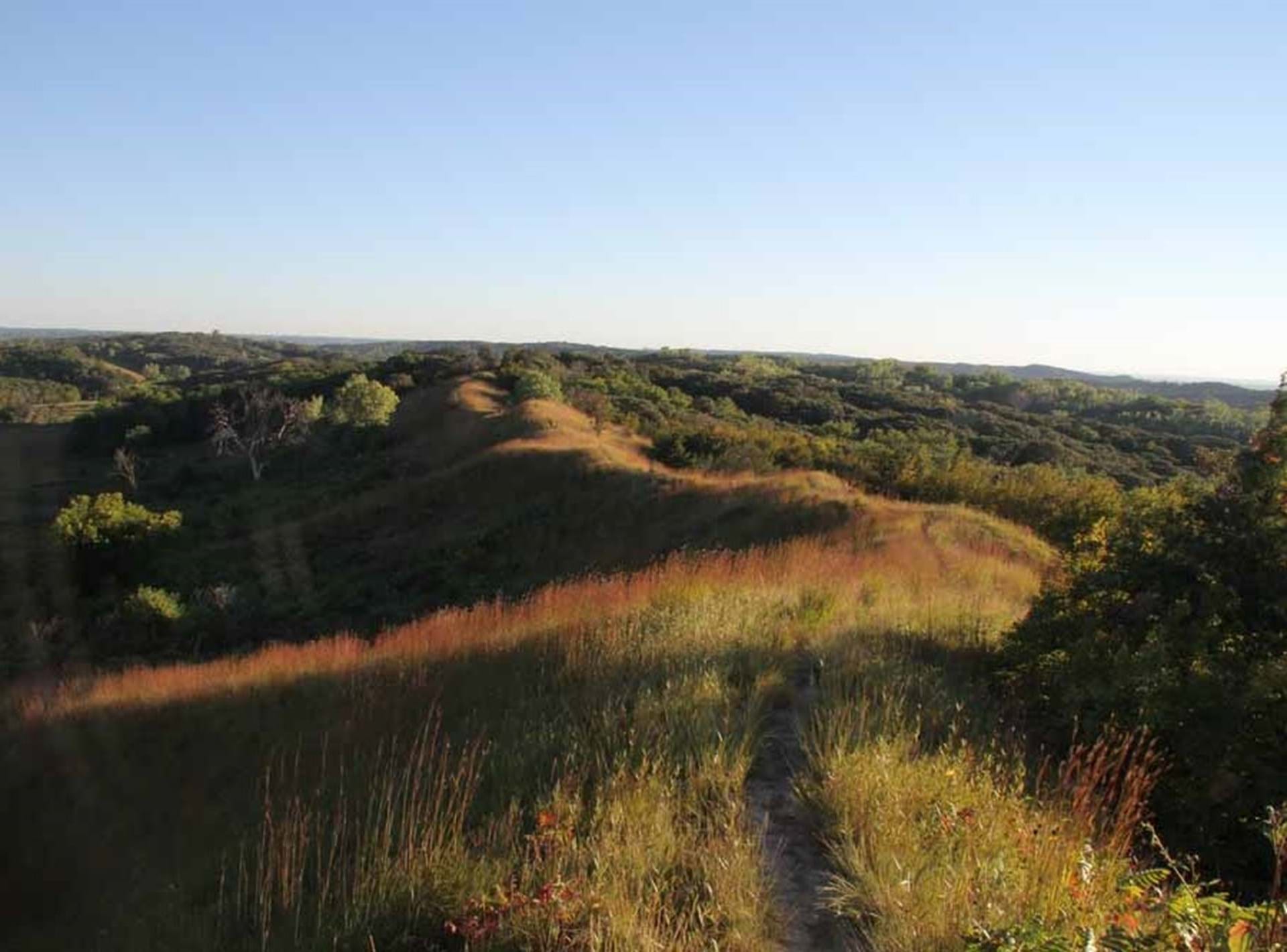Loess Hills State Forest