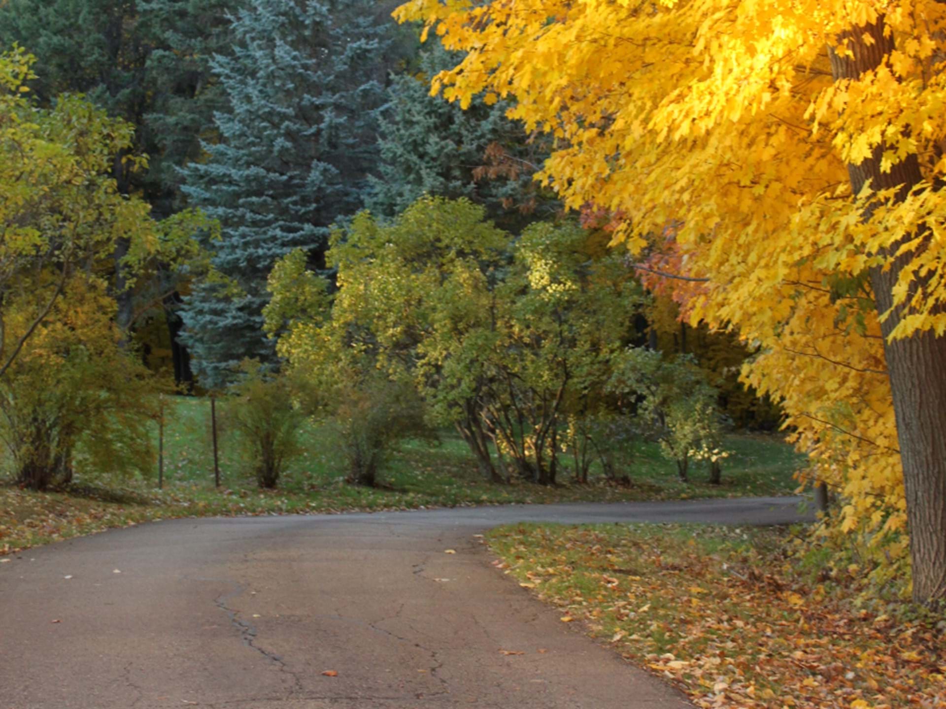 Eagle Point Park Recreational Trails