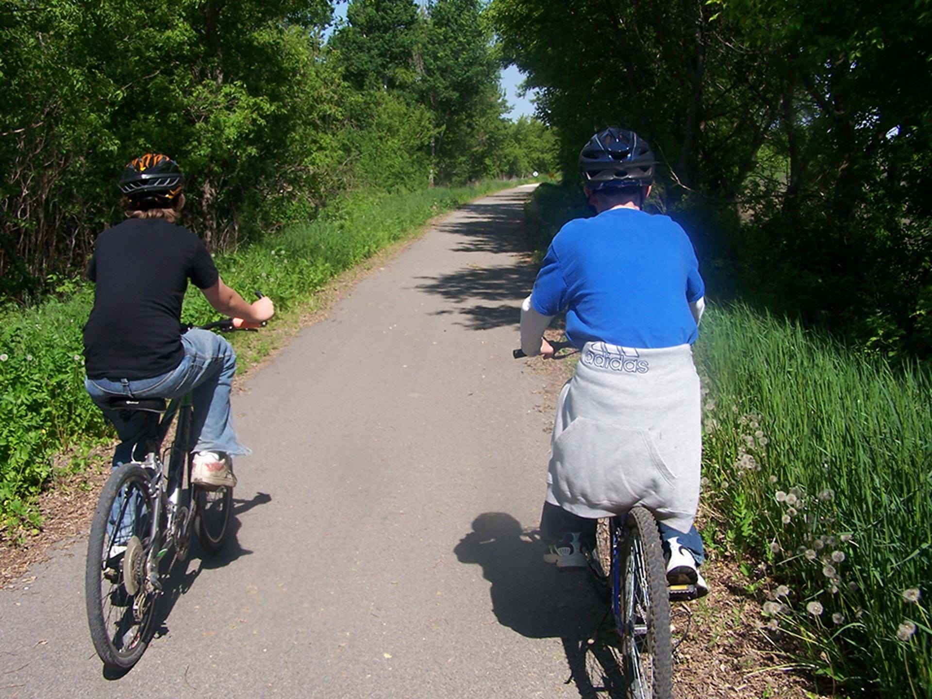 Wooded Area Along Trail