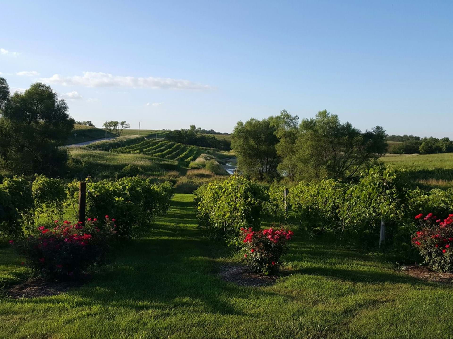 Revasser Winery Ainsworth, Iowa Travel Iowa