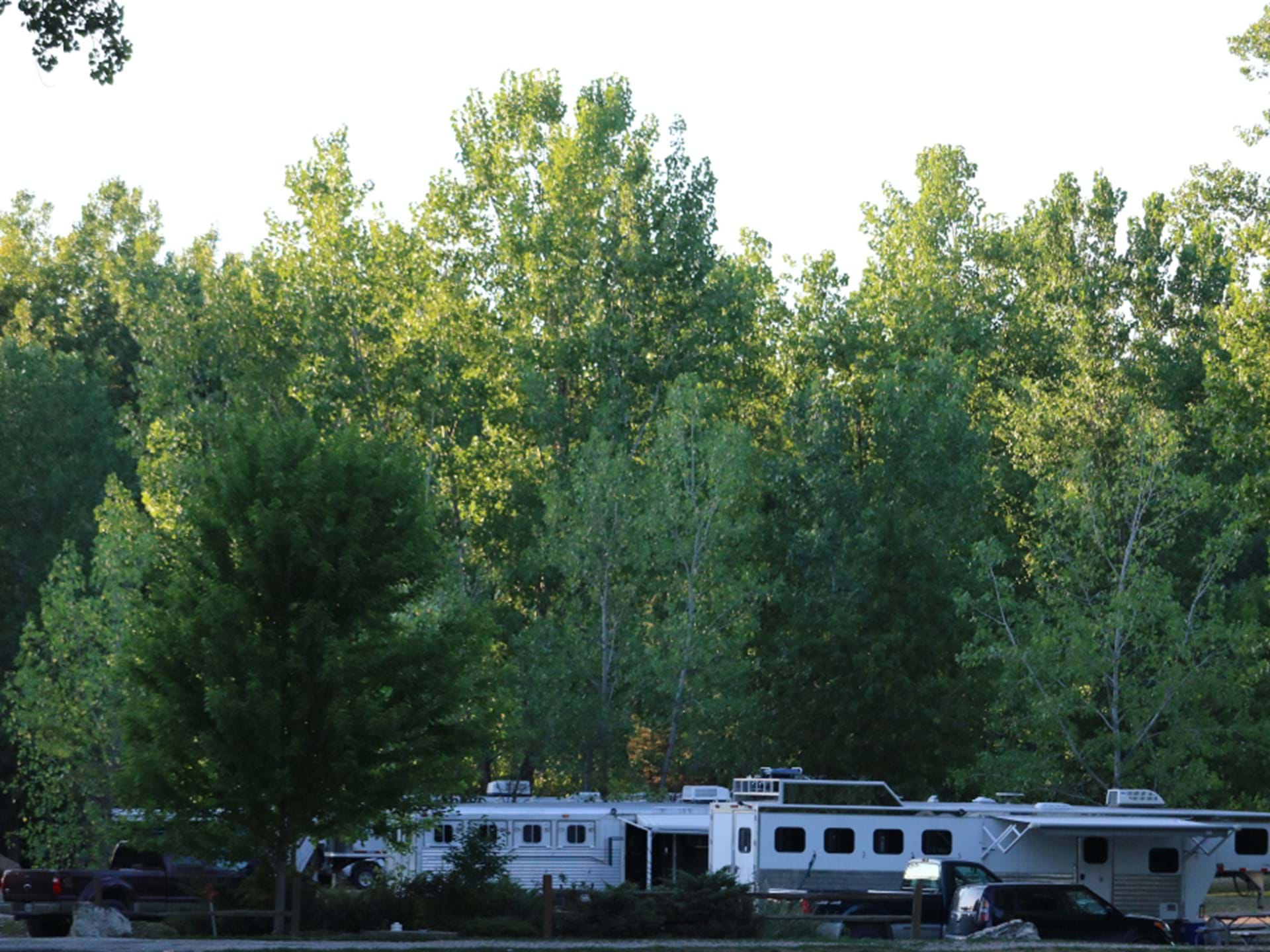 River Valley Campground