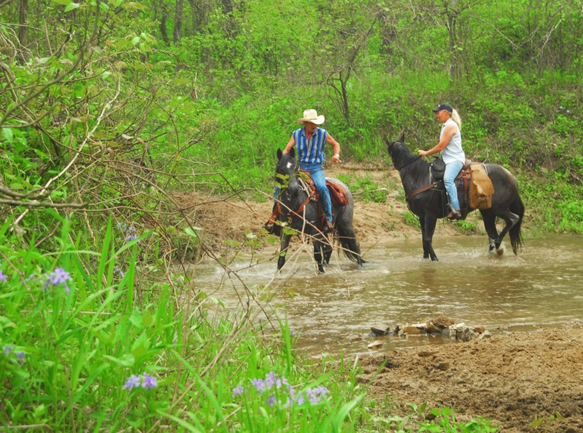 Shimek State Forest Horse Trails