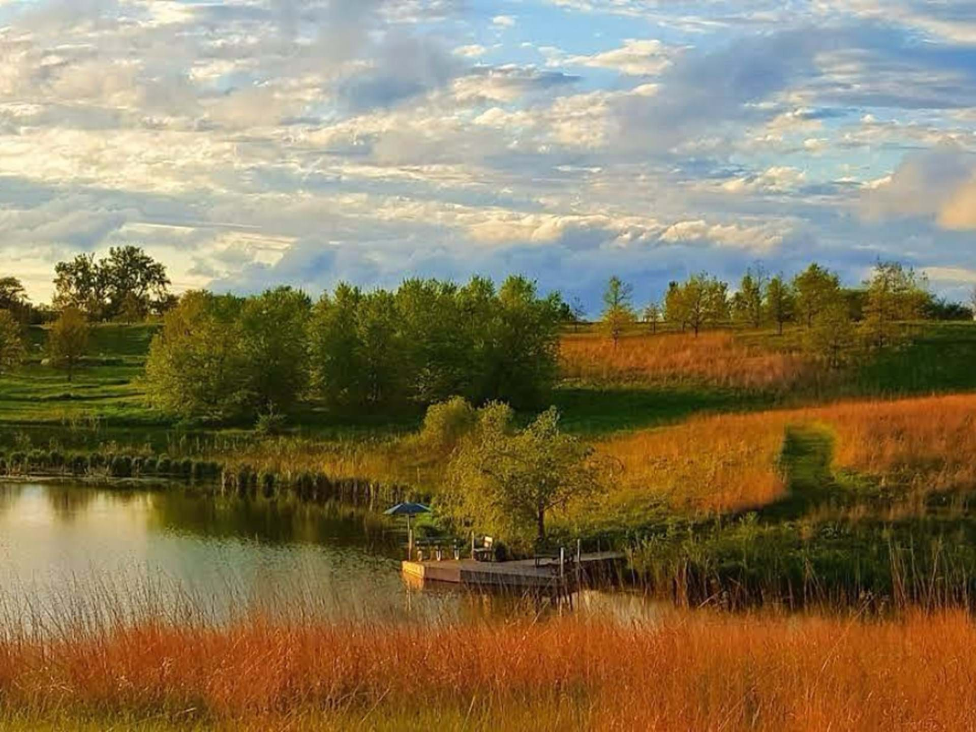 Lake Homestead by Collins