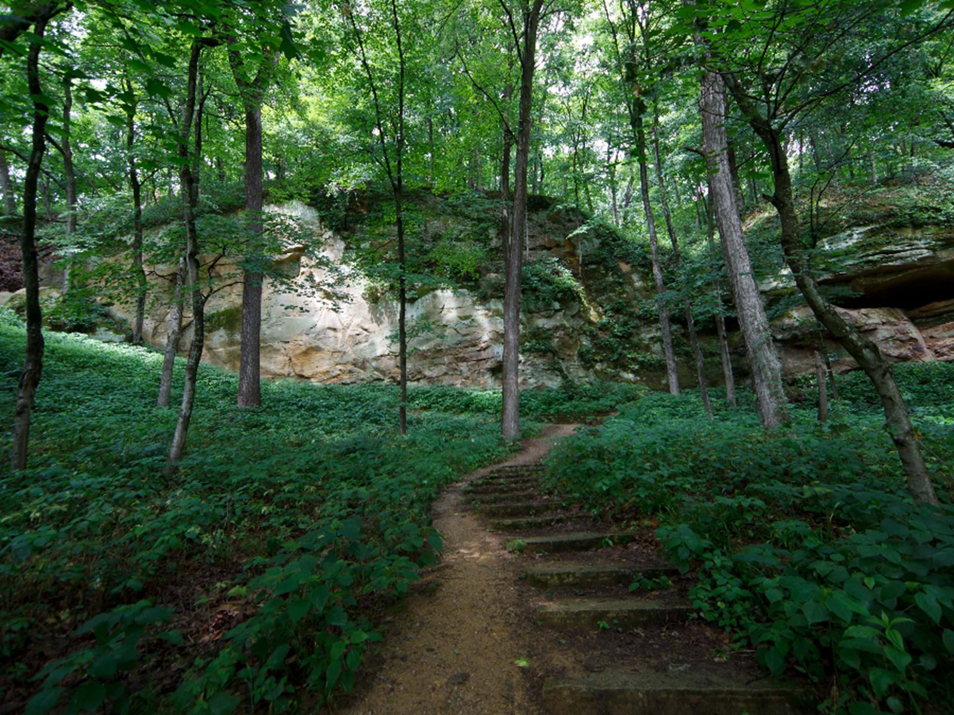 Trail leading to cave. 