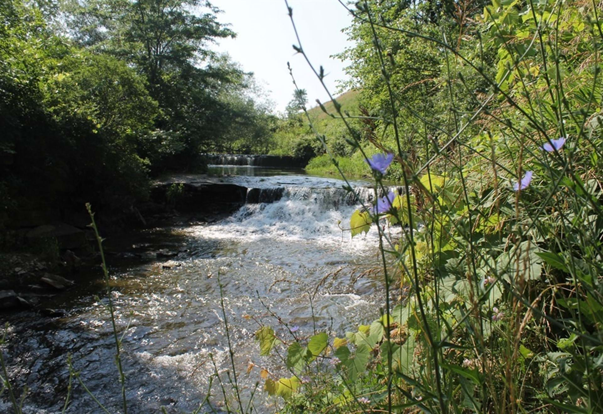 briggs woods waterfall