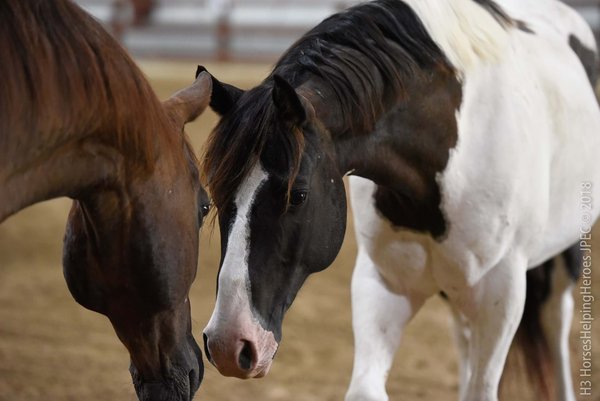 Jester Park Equestrian Center