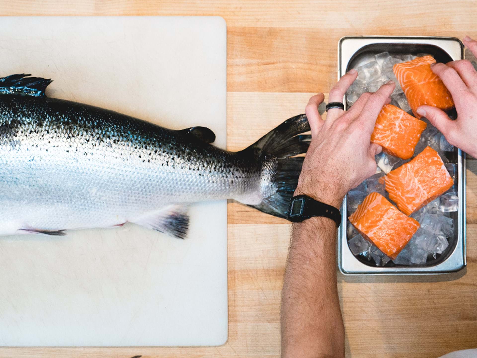 Fresh Salmon 