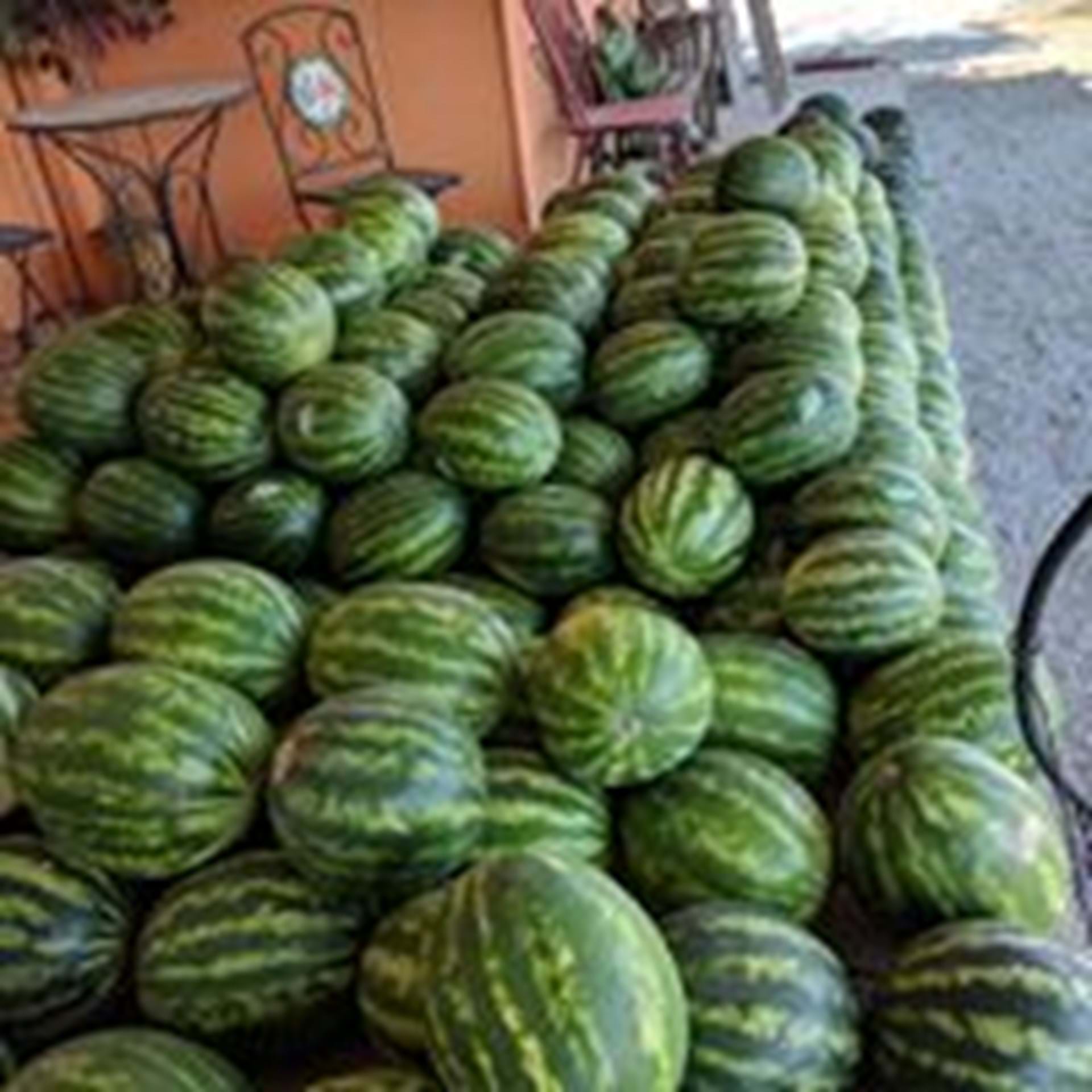 Seeded or seedless - watermelons are always a favorite!