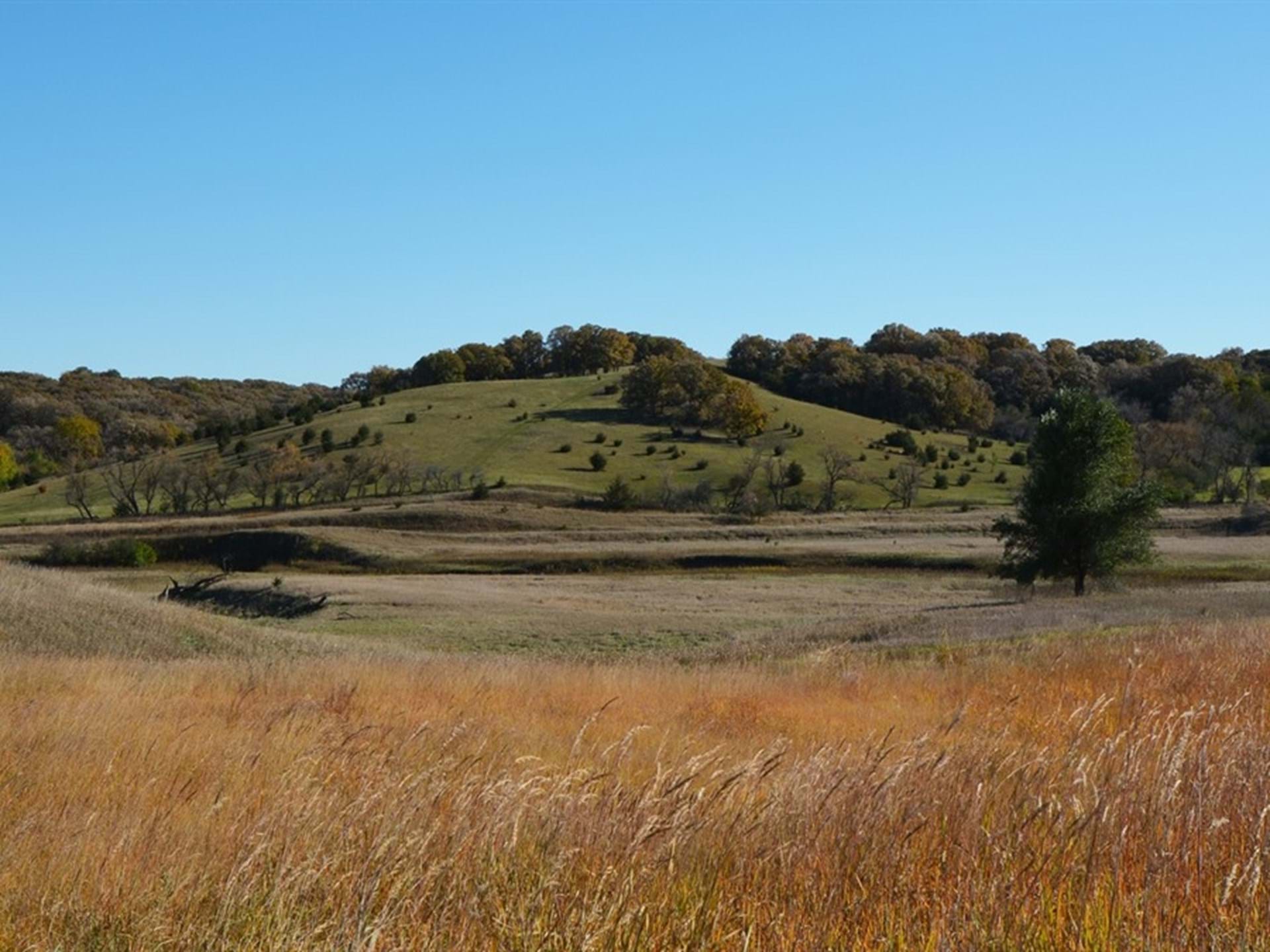 Blood Run National Historic Landmark | Larchwood, Iowa | Travel Iowa