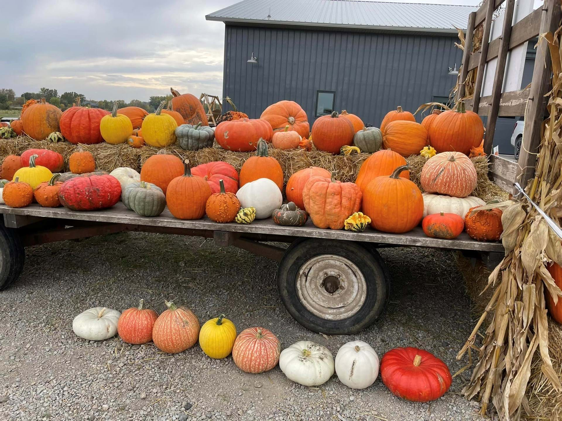 Pumpkins