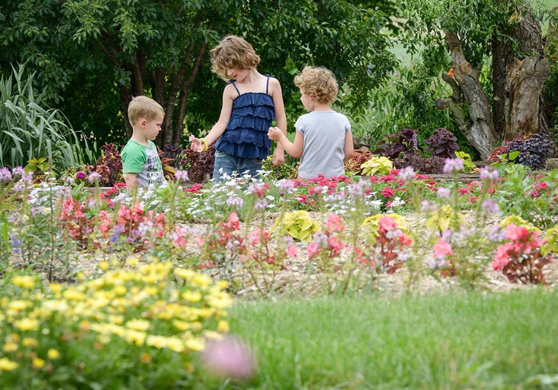 Prairie Pedlar Odebolt, Iowa Travel Iowa