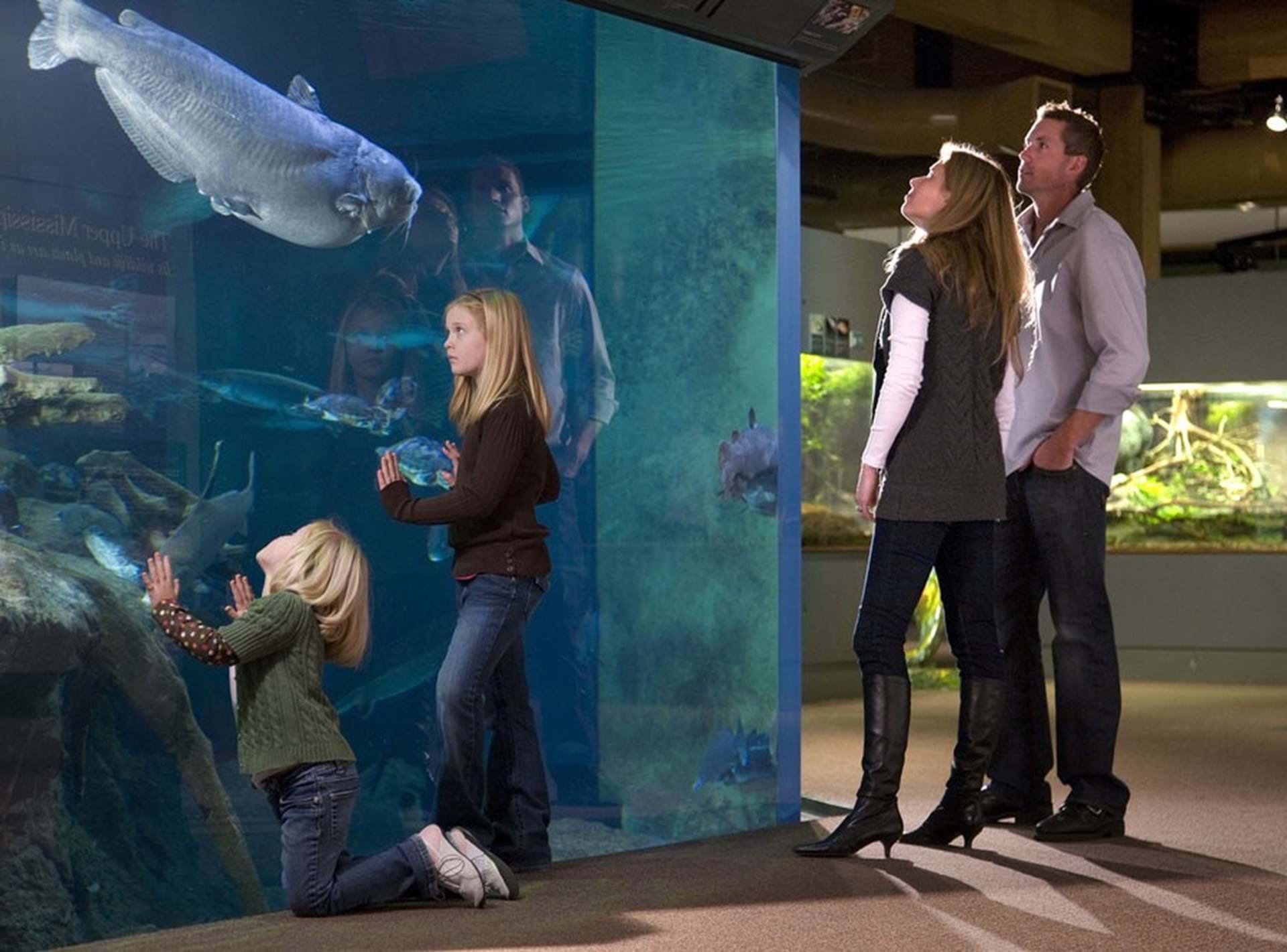 Main Channel Aquarium