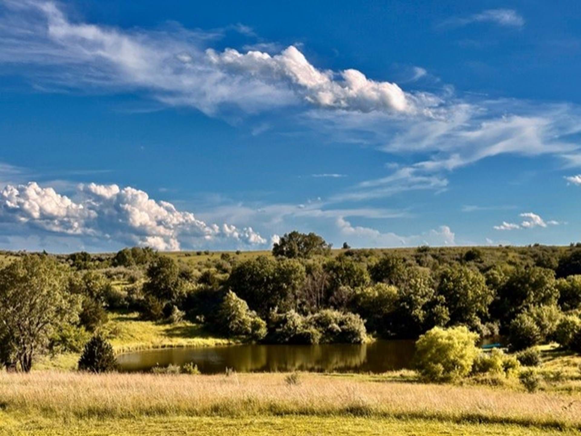  Whitetail Valley Pond